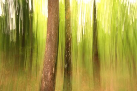 Morning Light - Walter J. Pilsak - auf - Array - Morning Light - Walter J. Pilsak - auf - Array -