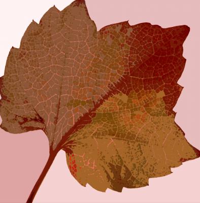 -Herbstblatt-- - Karlheinz Milde - Array auf - Array - -Herbstblatt-- - Karlheinz Milde - Array auf - Array -