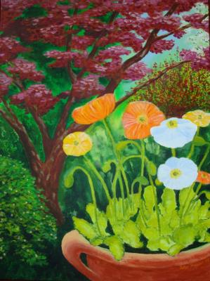 Mohnblumen - Peter Traxler - Array auf Array - - Array Mohnblumen - Peter Traxler - Array auf Array - - Array