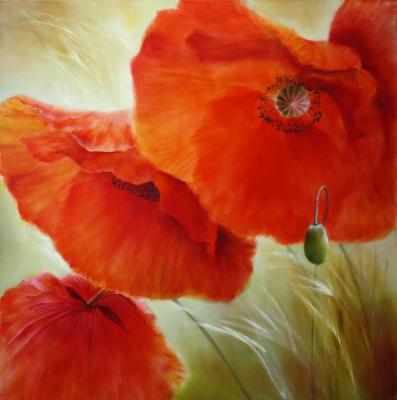 Drei mal Mohn - Annette Schmucker -  auf  - Array - 