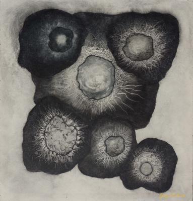 Bär sucht Frau - Hans Jörg Hamann - auf Array - Array - Array Bär sucht Frau - Hans Jörg Hamann - auf Array - Array - Array