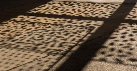 NaturKunstRaum VII - Arthur Wyss - auf - Array - NaturKunstRaum VII - Arthur Wyss - auf - Array -