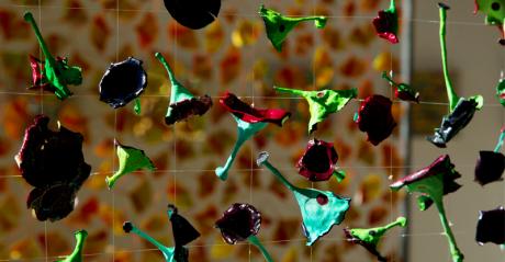 NaturKunstRaum VIII - Arthur Wyss - auf - Array - NaturKunstRaum VIII - Arthur Wyss - auf - Array -