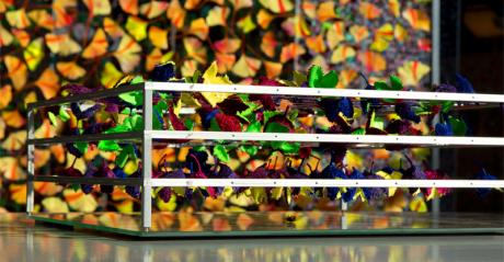 Spiegelbilder II - Arthur Wyss - auf - Array - Spiegelbilder II - Arthur Wyss - auf - Array -