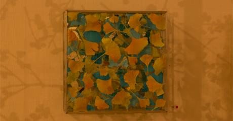 Spiegelbilder VI - Arthur Wyss - auf - Array - Spiegelbilder VI - Arthur Wyss - auf - Array -