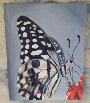 Natürliche Schönheit - Dirk Hermann - Array auf Array - Array - Array Natürliche Schönheit - Dirk Hermann - Array auf Array - Array - Array