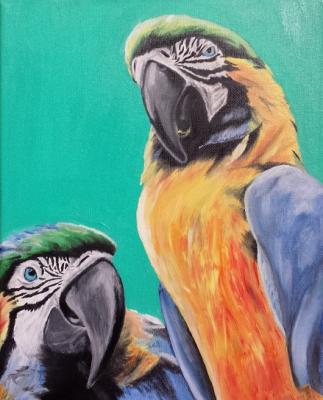 The color of Ara - Dirk Hermann - Array auf Array - Array - Array The color of Ara - Dirk Hermann - Array auf Array - Array - Array