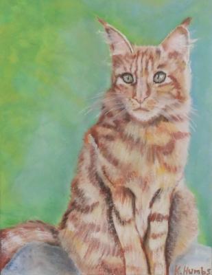 Katze Lajana - Katja Humbs - Array auf Array - Array - Array Katze Lajana - Katja Humbs - Array auf Array - Array - Array