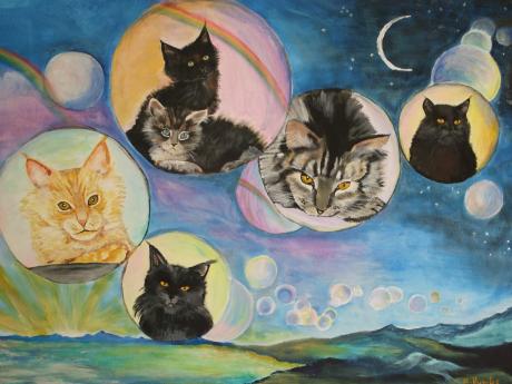 cats in bubbles - Katja Humbs - Array auf Array - Array - Array cats in bubbles - Katja Humbs - Array auf Array - Array - Array
