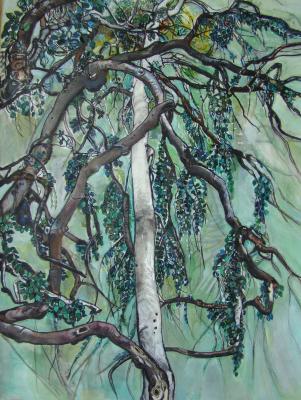 Große aufwärts strebende Hängebuche - Sylvia Rudolph - Array auf - Array - Große aufwärts strebende Hängebuche - Sylvia Rudolph - Array auf - Array -