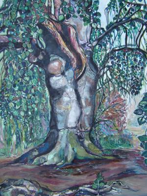 Hängebuche unter Naturschutz stehend - Sylvia Rudolph - Array auf Array - Array - Array Hängebuche unter Naturschutz stehend - Sylvia Rudolph - Array auf Array - Array - Array