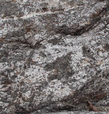 --- - robert schery - auf - Array - --- - robert schery - auf - Array -