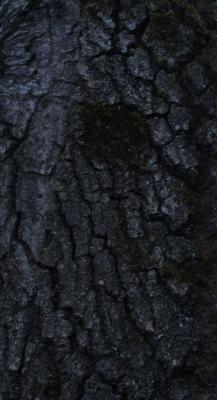 38 - robert schery - auf - Array - 38 - robert schery - auf - Array -