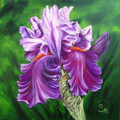 Iris Viola - Simone Wilhelms - Array auf Array - Array - Iris Viola - Simone Wilhelms - Array auf Array - Array -