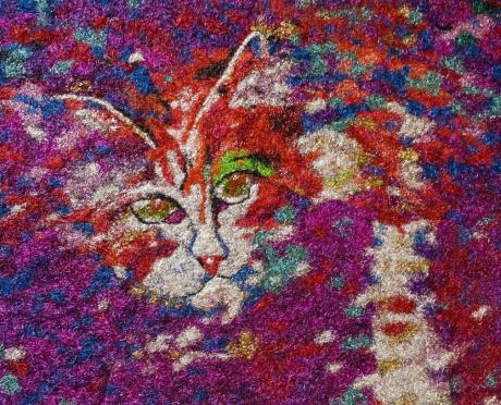 Katze - Alexander Schmidt - auf - Array - Katze - Alexander Schmidt - auf - Array -