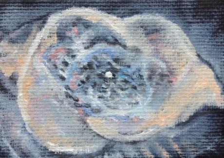 Cats Eye Nebula - Claudia Lüthi - Array auf Array - Array - Array Cats Eye Nebula - Claudia Lüthi - Array auf Array - Array - Array