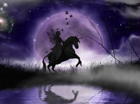 ride in the moonlight - Katja Humbs - Array auf - Array - ride in the moonlight - Katja Humbs - Array auf - Array -