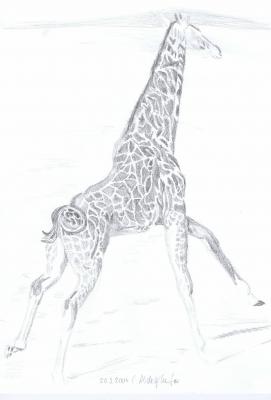 Giraffe - Claudia Lüthi - Array auf - Array - Array Giraffe - Claudia Lüthi - Array auf - Array - Array