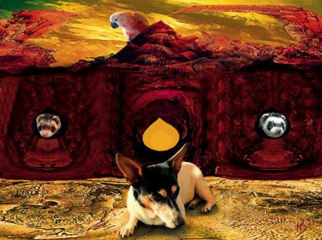 Blick zurück - Hans Batschauer - Array auf - Array - Blick zurück - Hans Batschauer - Array auf - Array -