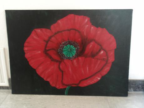 Mohnblume - Alexandra Claß - Array auf Array - Array - Array Mohnblume - Alexandra Claß - Array auf Array - Array - Array