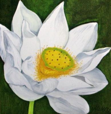 ---Blume - Mandy Maday - Array auf Array - Array - Array ---Blume - Mandy Maday - Array auf Array - Array - Array